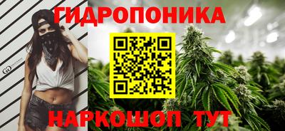 индика Тверь