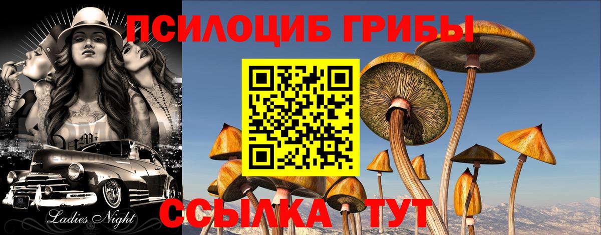 Псилоцибиновые грибы Magic Shrooms Нальчик
