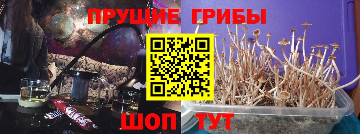 Нальчик  Галлюциногенные грибы Magic Shrooms  Вход с VPN 